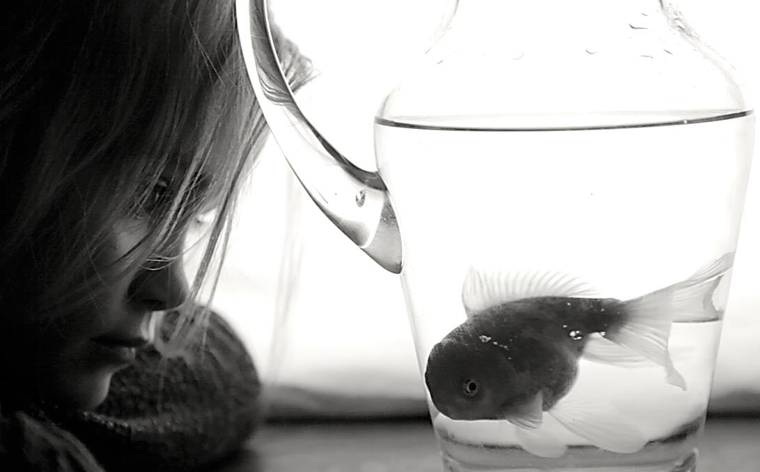 dress less beautiful 01