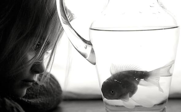 dress less beautiful 01